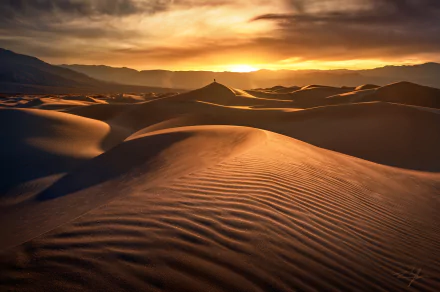 Sunset casts warm light over sand dunes in Death Valley desert, highlighting the textured patterns of the sand in this HD PC desktop wallpaper and nature background.