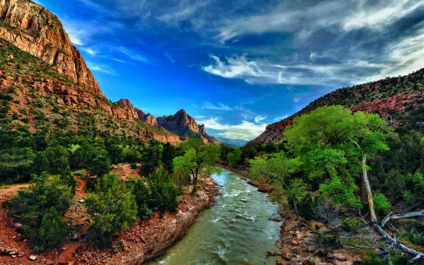 Earth River Nature Bush Landscape HD Wallpaper | Background Image