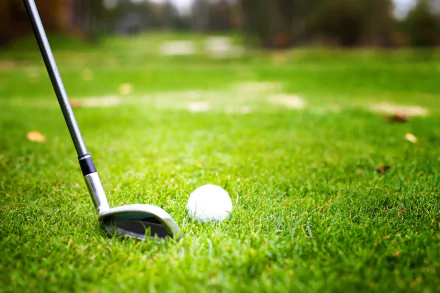 Close-up HD desktop wallpaper of a golf club and ball resting on vibrant green grass, capturing a serene sports moment on the course.