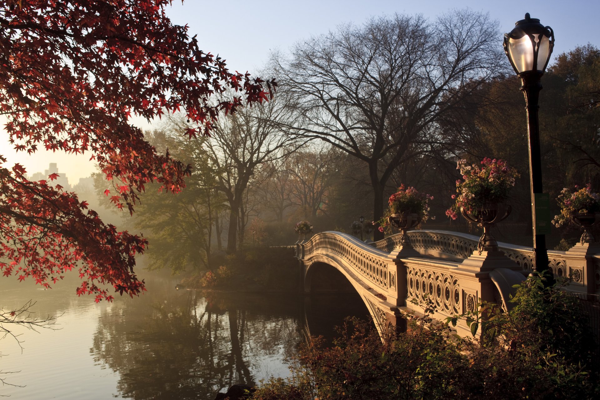 Download Bow Bridge Fall Bridge New York Man Made Central Park 4k Ultra