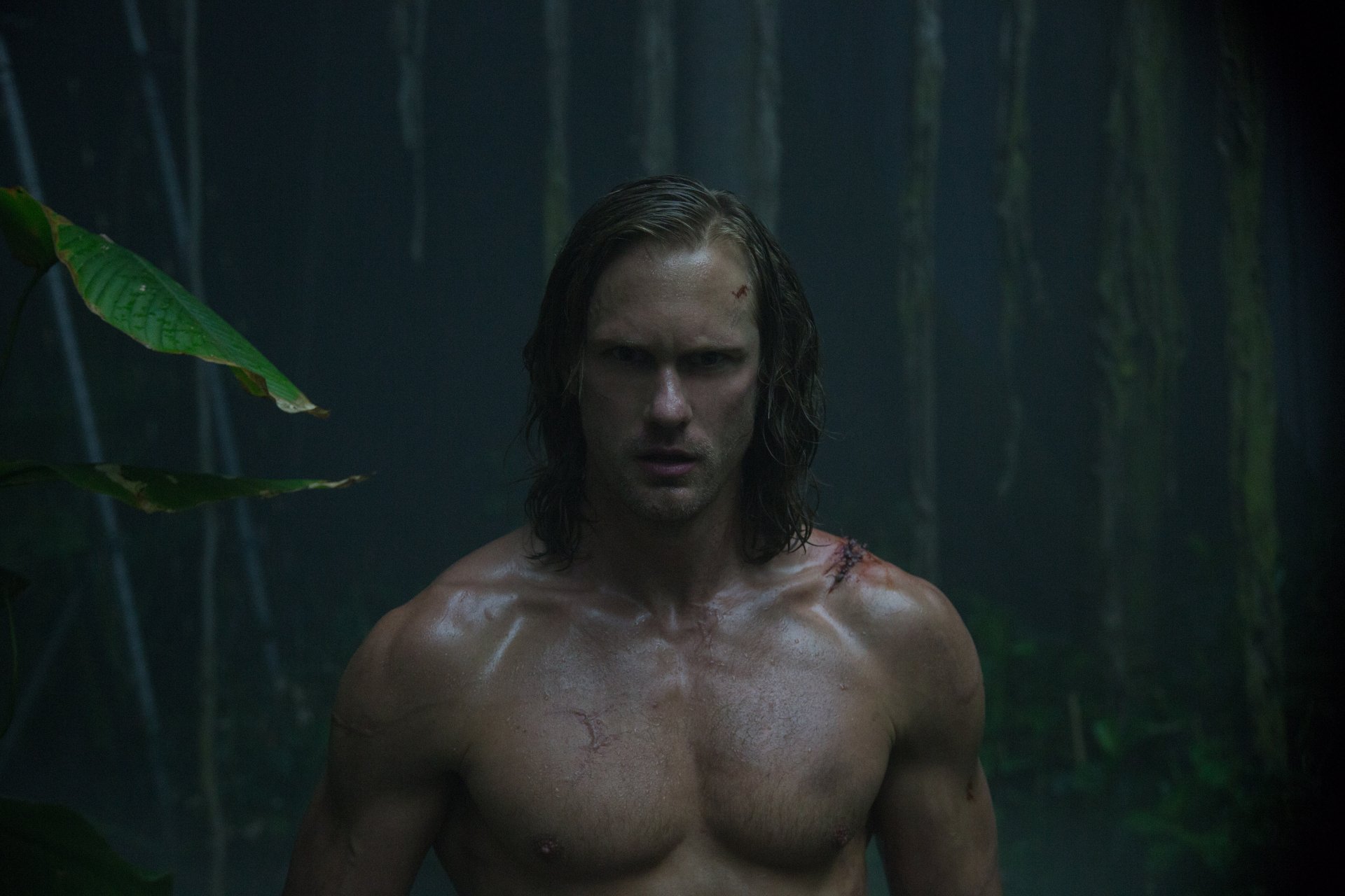 4K Ultra HD wallpaper featuring Alexander Skarsgård as Tarzan in a dark, dense jungle scene from the movie The Legend of Tarzan.