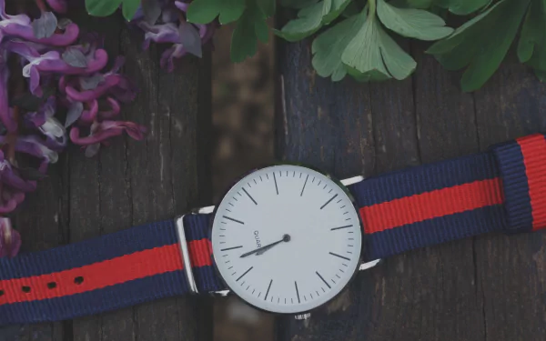 flower wristwatch man made watch HD Desktop Wallpaper | Background Image