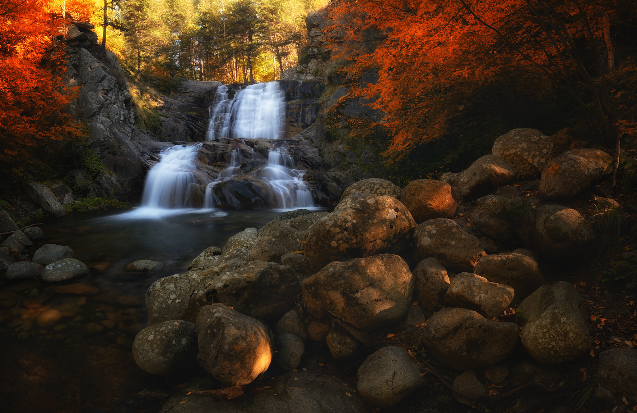 Download Forest Fall Nature Waterfall HD Wallpaper