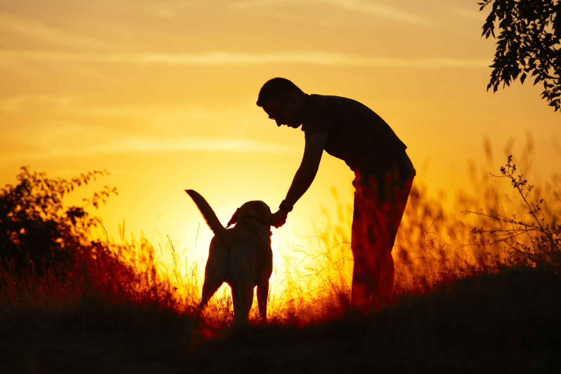 a-man-and-his-dog-at-sunset