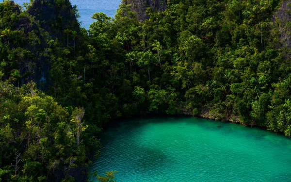  Turquoise Lagoon