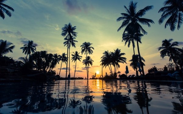 Photography Sunset Palm Tree Water Reflection Resort HD Wallpaper | Background Image