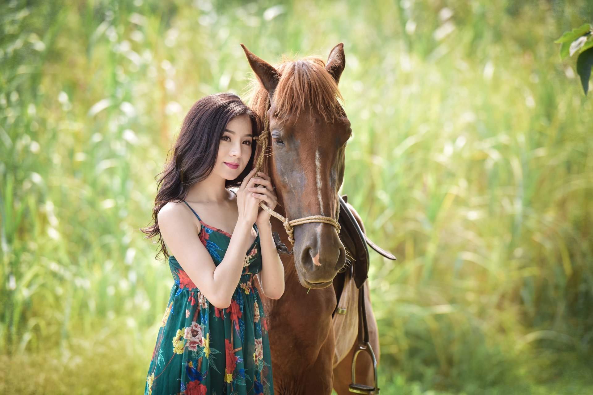 A brunette Asian woman with brown eyes stands next to a horse in a lush green field, wearing a colorful dress. This HD wallpaper captures a serene, natural moment between the model and the horse.