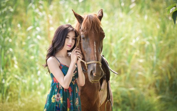 Women Asian Model Horse Brunette Dress Brown Eyes HD Wallpaper | Background Image