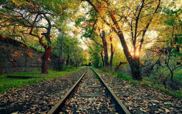 Man Made Railroad Spring Tree Green HD Wallpaper | Background Image