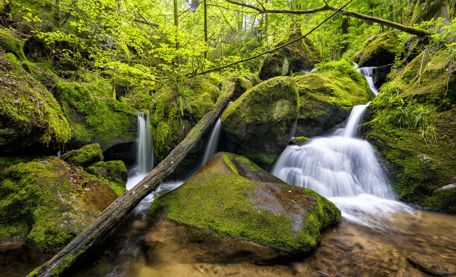 Download Green Nature Foam Forest Moss Waterfall HD Wallpaper