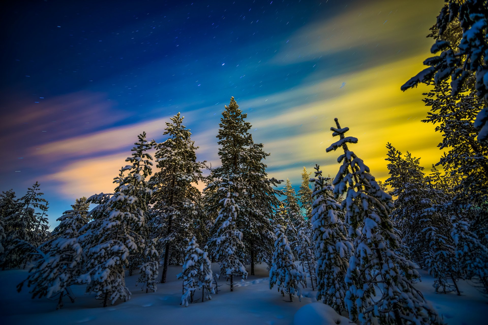 Download Sky Snow Sunset Forest Tree Nature Winter HD Wallpaper