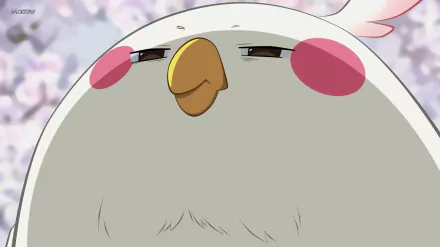 Close-up of Dera Mochimazzi, the chubby white bird from the anime Tamako Market, featured in an HD PC desktop wallpaper with soft cherry blossom background.