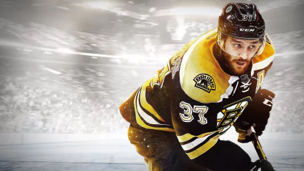 HD desktop wallpaper featuring a Boston Bruins hockey player in action on the ice, capturing the intensity and spirit of the sport.
