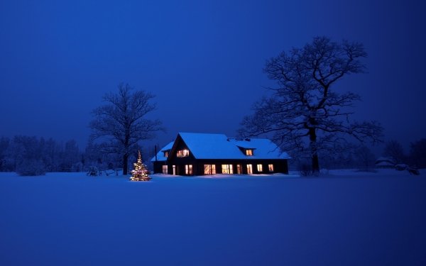 Photography Winter Night Snow Tree Christmas Tree Light HD Wallpaper | Background Image