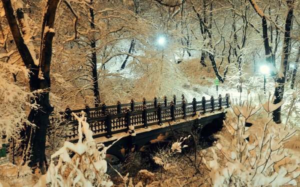 Photography Winter Earth Bridge Park Snow Tree Light Dusk HD Wallpaper | Background Image