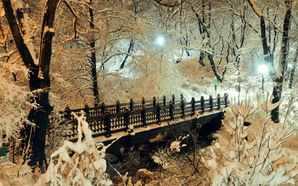 Dusk winter scene of a snow-covered park with illuminated trees and a decorative bridge, captured in HD photography for a PC desktop wallpaper background.