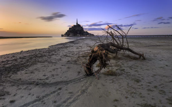 horizon driftwood France sand beach religious Mont Saint- Michel HD Desktop Wallpaper | Background Image