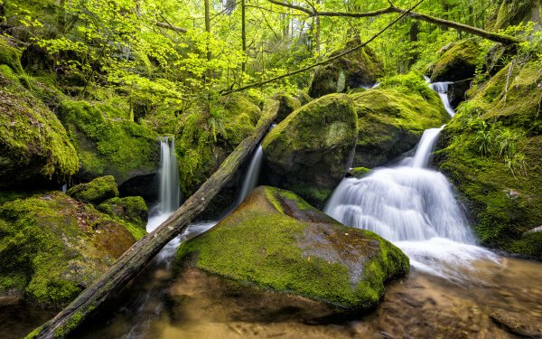 Earth Waterfall Waterfalls Moss Forest Foam Nature Green HD Wallpaper | Background Image