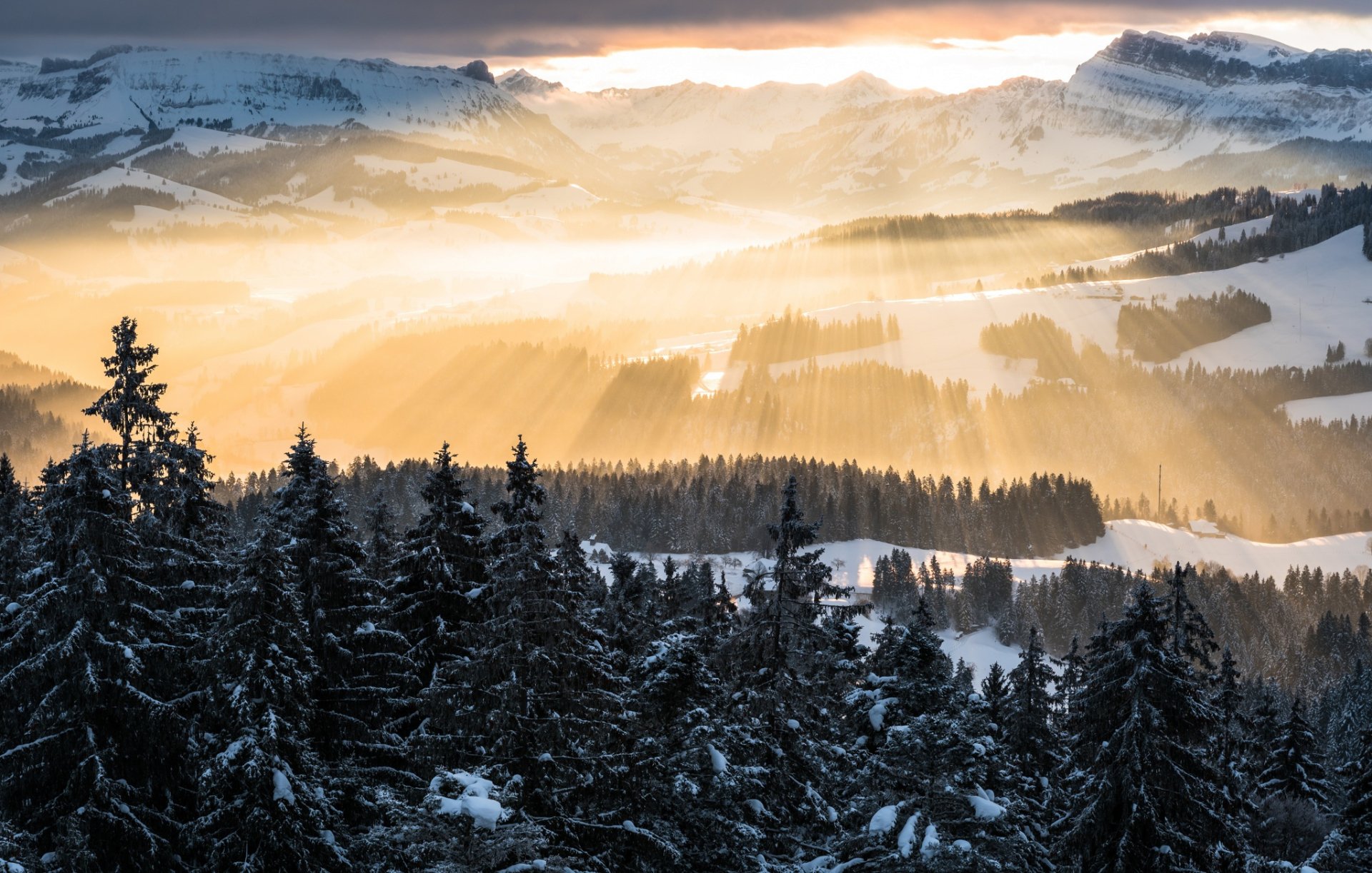 Download Landscape Snow Winter Nature Forest Sunbeam HD Wallpaper ...