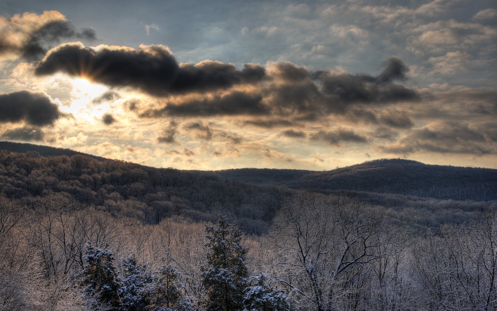 A stunning nature landscape featuring snow-covered trees and rolling hills under a cloudy sky, capturing the serene beauty of the outdoors in an HD desktop wallpaper format.