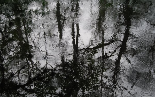 Photography Rain Black & White HD Wallpaper | Background Image