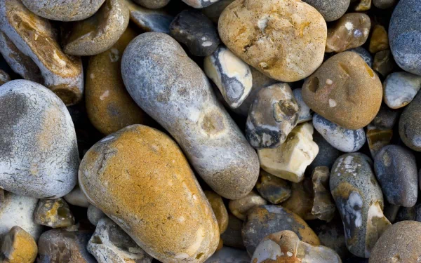 A close-up view of various smooth stones in earthy tones, showcasing the beauty of nature. This HD image serves as a striking desktop wallpaper and background.