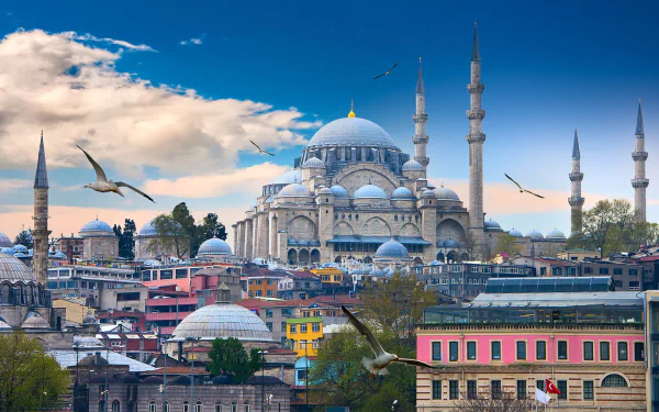 HD desktop wallpaper showcasing the majestic Süleymaniye Mosque with its domes and minarets under a bright blue sky, surrounded by city buildings and flying birds.