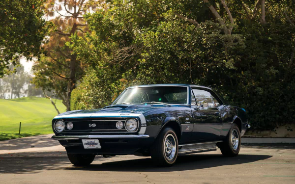 muscle car car Chevrolet Chevrolet Camaro vehicle Chevrolet Camaro SS HD Desktop Wallpaper | Background Image