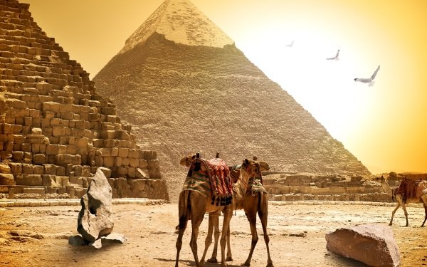 Man Made Pyramid Camel Egyptian HD Wallpaper | Background Image