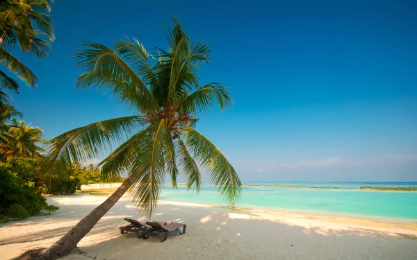 holiday photography beach HD Desktop Wallpaper | Background Image