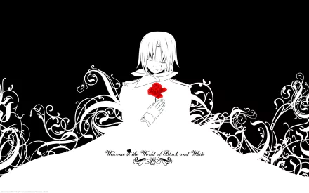 Allen Walker Anime D.Gray-man HD Desktop Wallpaper | Background Image