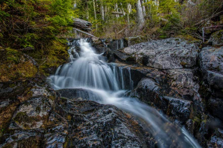  San Juan Ridge Creek