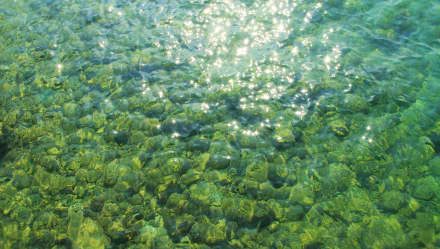 A shimmering water surface reflects natural light, creating a sparkling effect over rocky underwater textures. This vibrant scene is captured in stunning 4K Ultra HD.