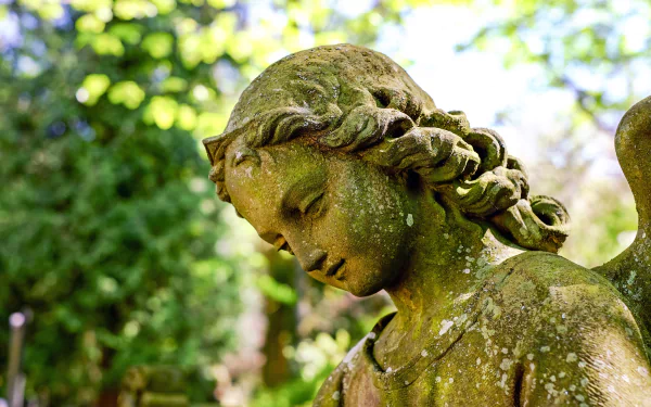 bokeh close-up statue man made angel statue HD Desktop Wallpaper | Background Image