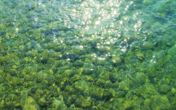 sparkles nature water HD Desktop Wallpaper | Background Image