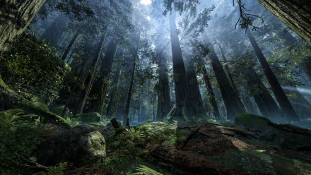 video game Star Wars Battlefront (2015) HD Desktop Wallpaper | Background Image