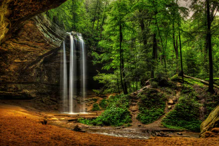 HD wallpaper of a vibrant forest HDR scene featuring a serene waterfall surrounded by lush greenery and tall trees, capturing the tranquility of nature.