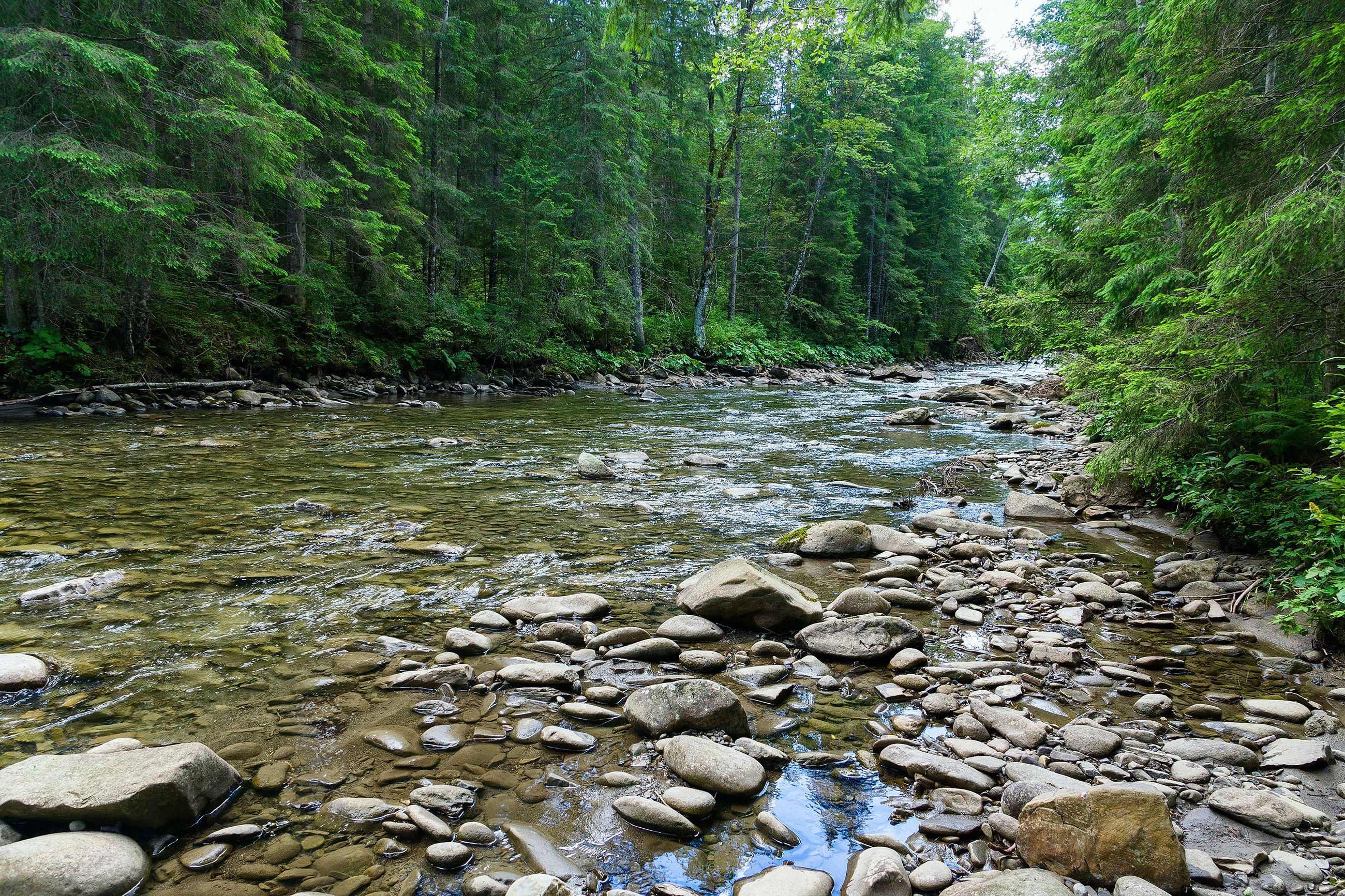 Nature Creek HD Wallpaper | Background Image