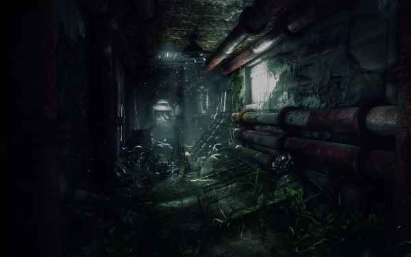 Video game Tom Clancy's The Division 4K Ultra HD PC desktop wallpaper: moody overgrown underground corridor with rusted pipes, debris and shafts of light in a post-apocalyptic city.