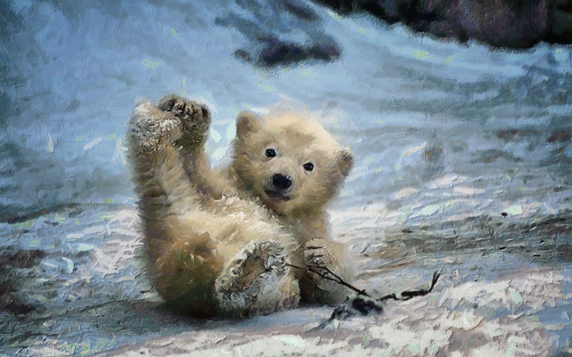 Baby Polar Bear HD Wallpaper | Background Image ...