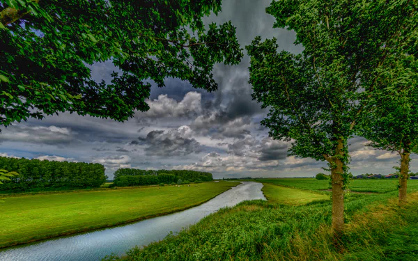 2K Quad HD PC desktop wallpaper and background: green country field with trees beside a winding river under dramatic cloudy sky, a peaceful nature scene.