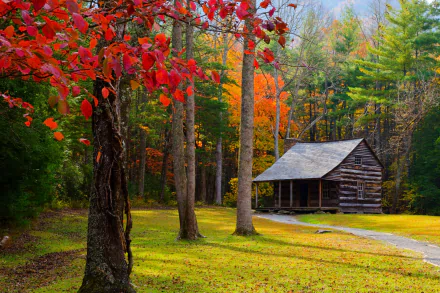 A man-made cabin nestled among vibrant fall foliage, captured in stunning 4K Ultra HD, creating a serene PC desktop wallpaper and background.