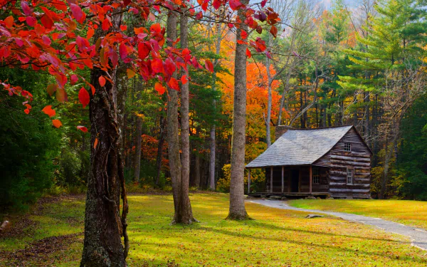 A man-made cabin nestled among vibrant fall foliage, captured in stunning 4K Ultra HD, creating a serene PC desktop wallpaper and background.