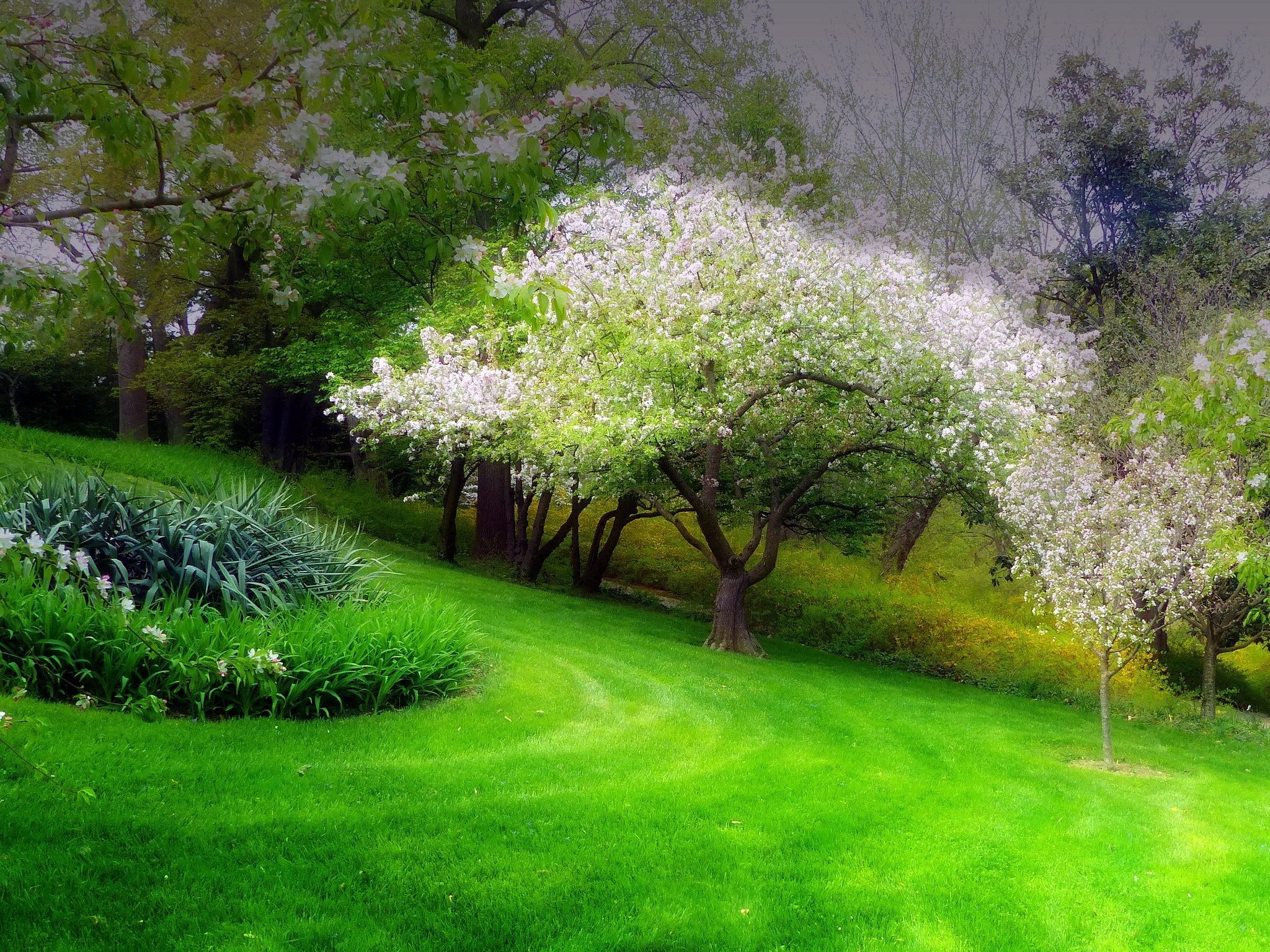 Earth Spring HD Wallpaper | Background Image