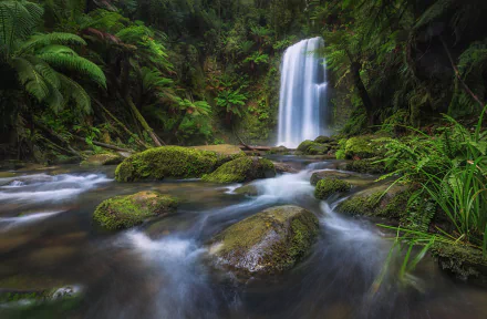 Lush ferns surround a serene waterfall in Melbourne, Victoria, Australia, flowing over mossy rocks in a vibrant natural landscape.