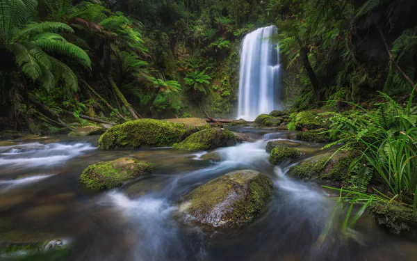  Beauchamp Falls, Great Otway National Park, Australia