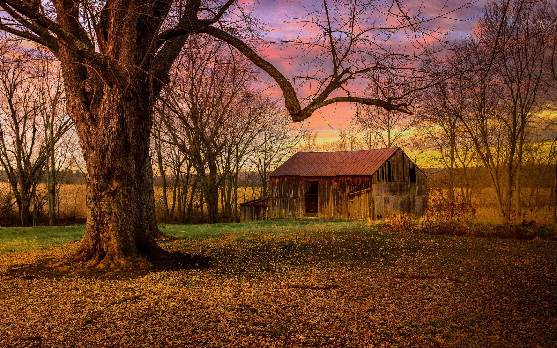 Lavender farm Wallpaper 4K, Pink sky, Evening, 5K