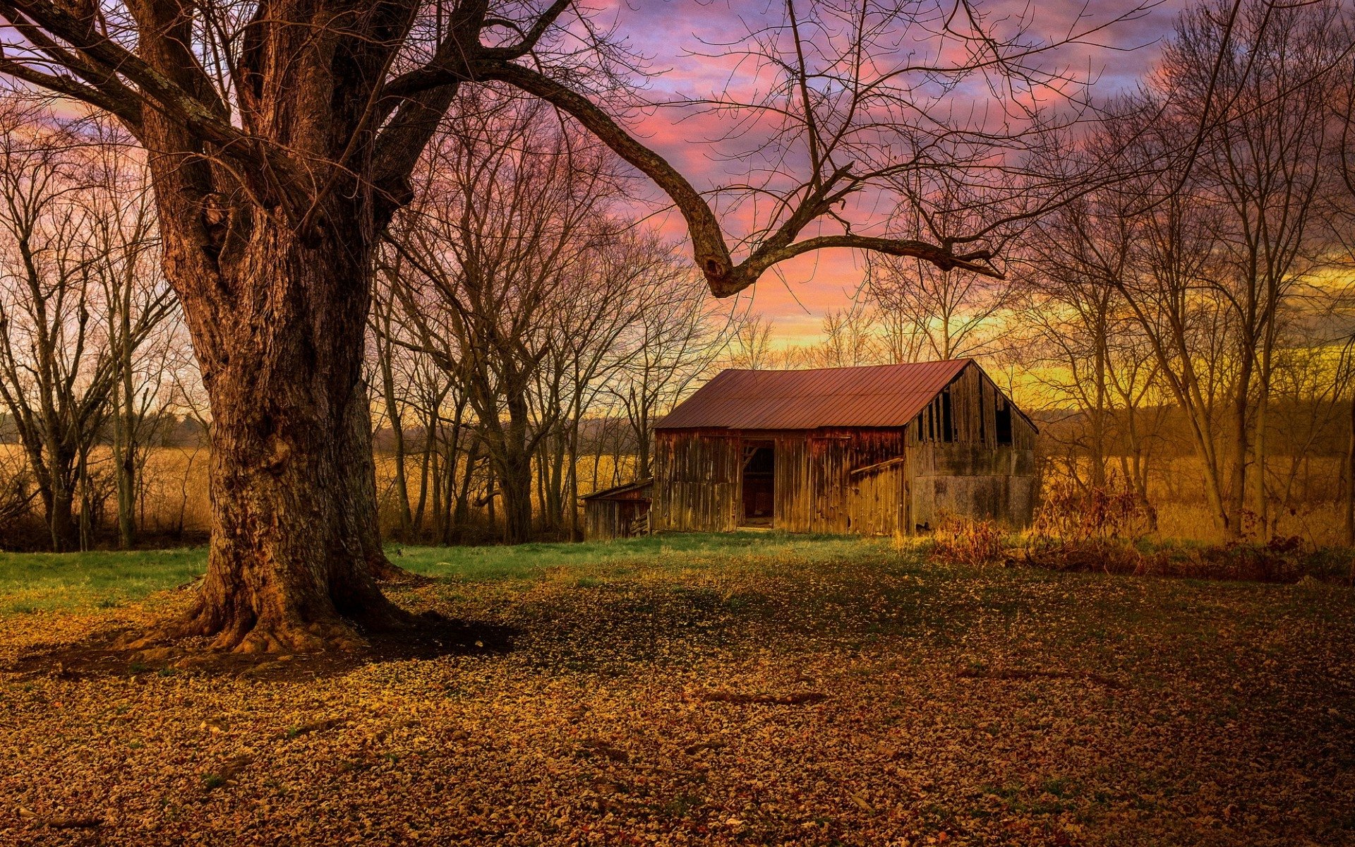Download Sunset Field Tree Man Made Barn HD Wallpaper