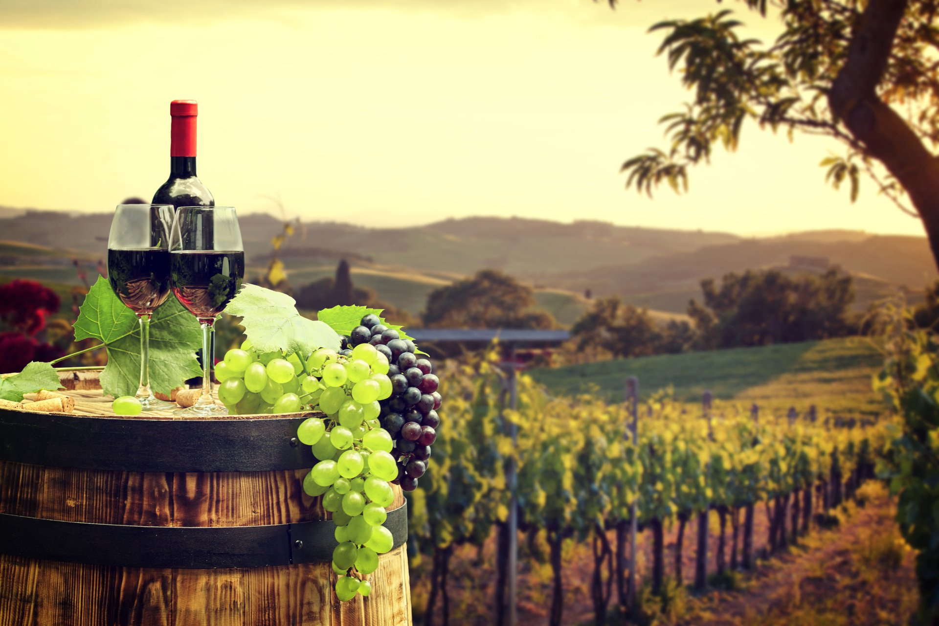Vino 5k Retina Ultra HD Wallpaper Sfondo 5616x3744 ID732770