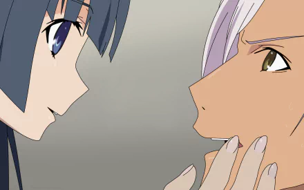 Anime Ookami-san to Shichinin no Nakama-tachi HD Desktop Wallpaper | Background Image